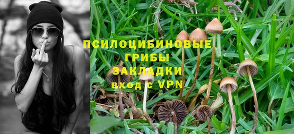 ешки Мегион
