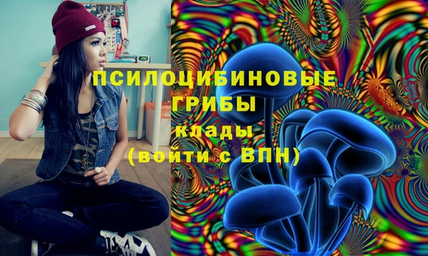 каннабис Медвежьегорск