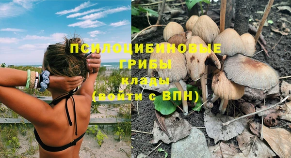 каннабис Медвежьегорск